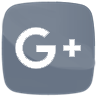 google Share on google